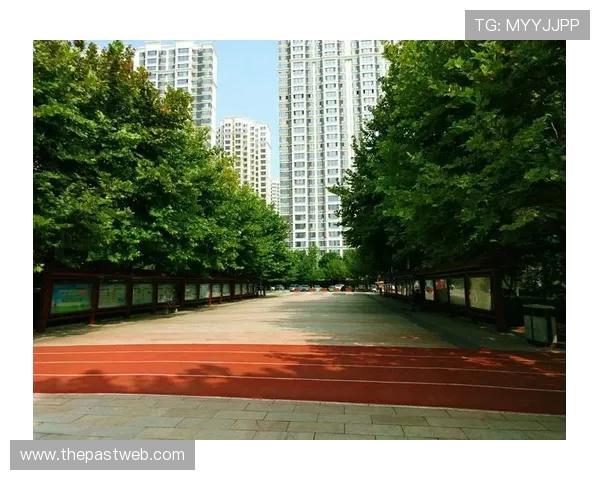 乐天体育app官网下载安装注意事项，保障账号安全与软件正常运行